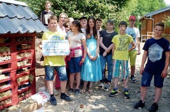 Gesamtschüler bauten Insektenhotel