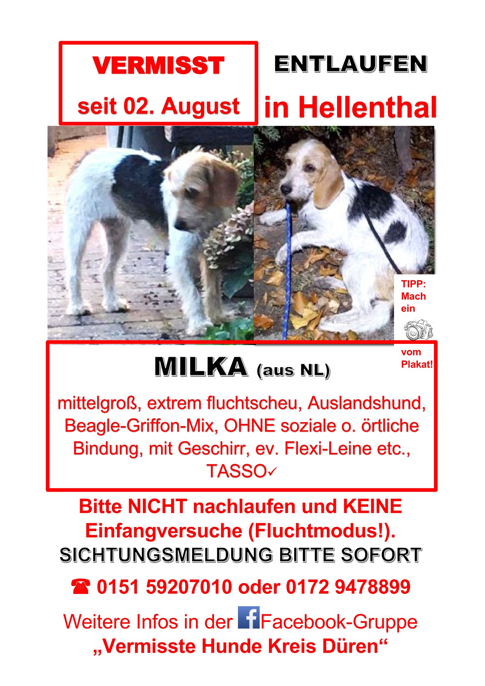 33Hund.Hellenthal.Suchplakat MILKA 02082020 Page 1