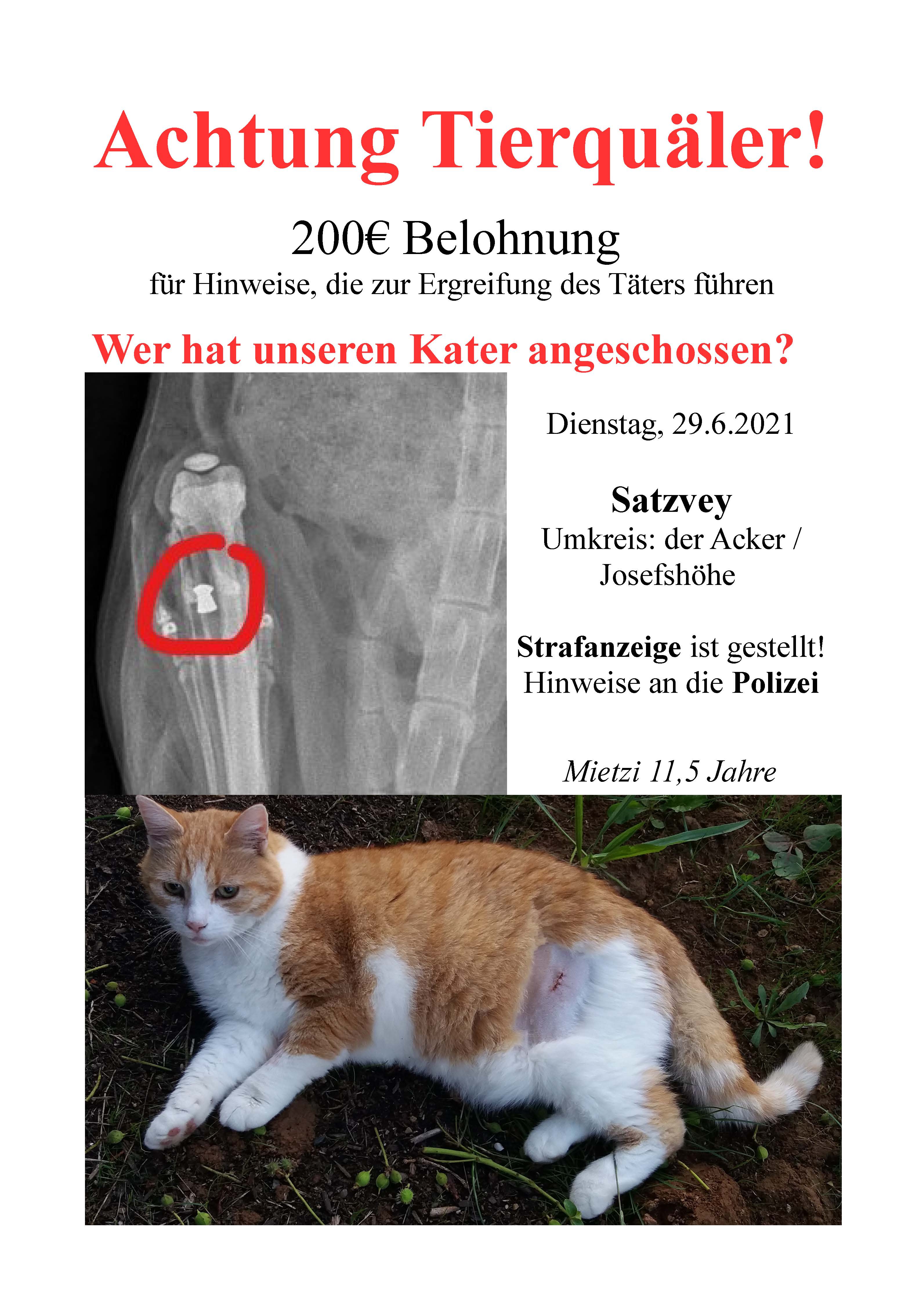 SatzveyFlyer Mietzi.pdf