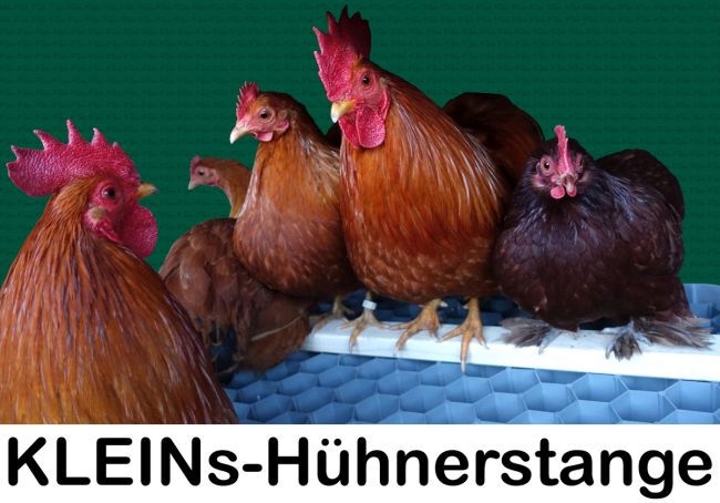 001kleins huehnerstange