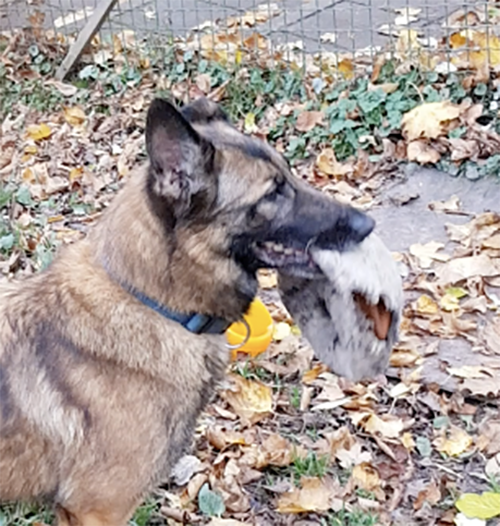 Lola mit Ball 1