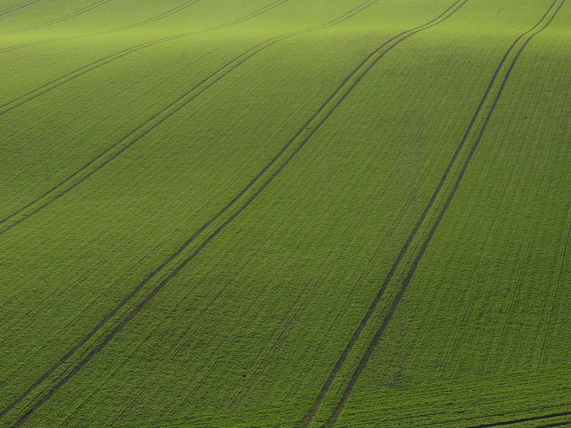 Landwirtschaft