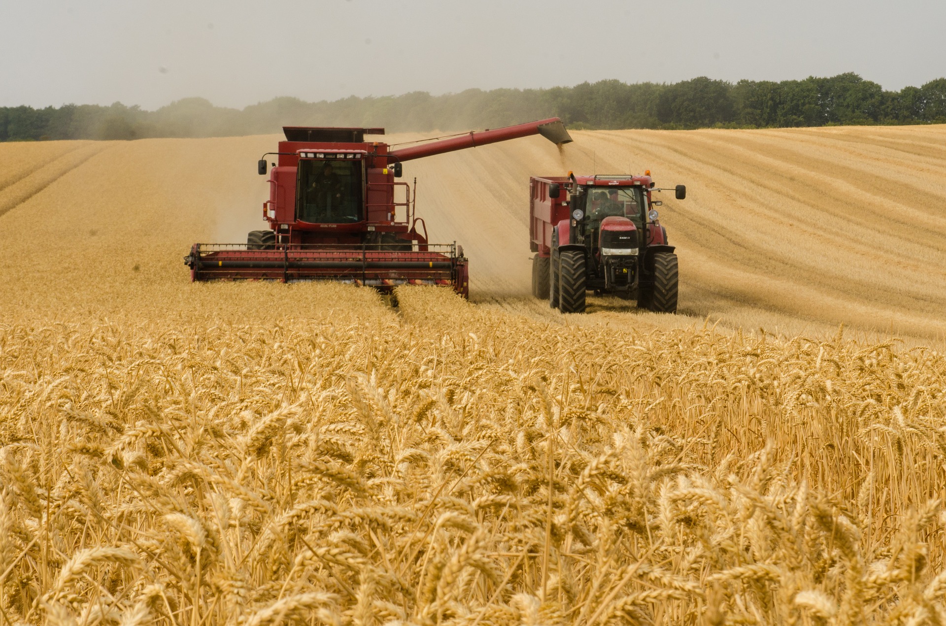 Traktor mit Mähdrescher