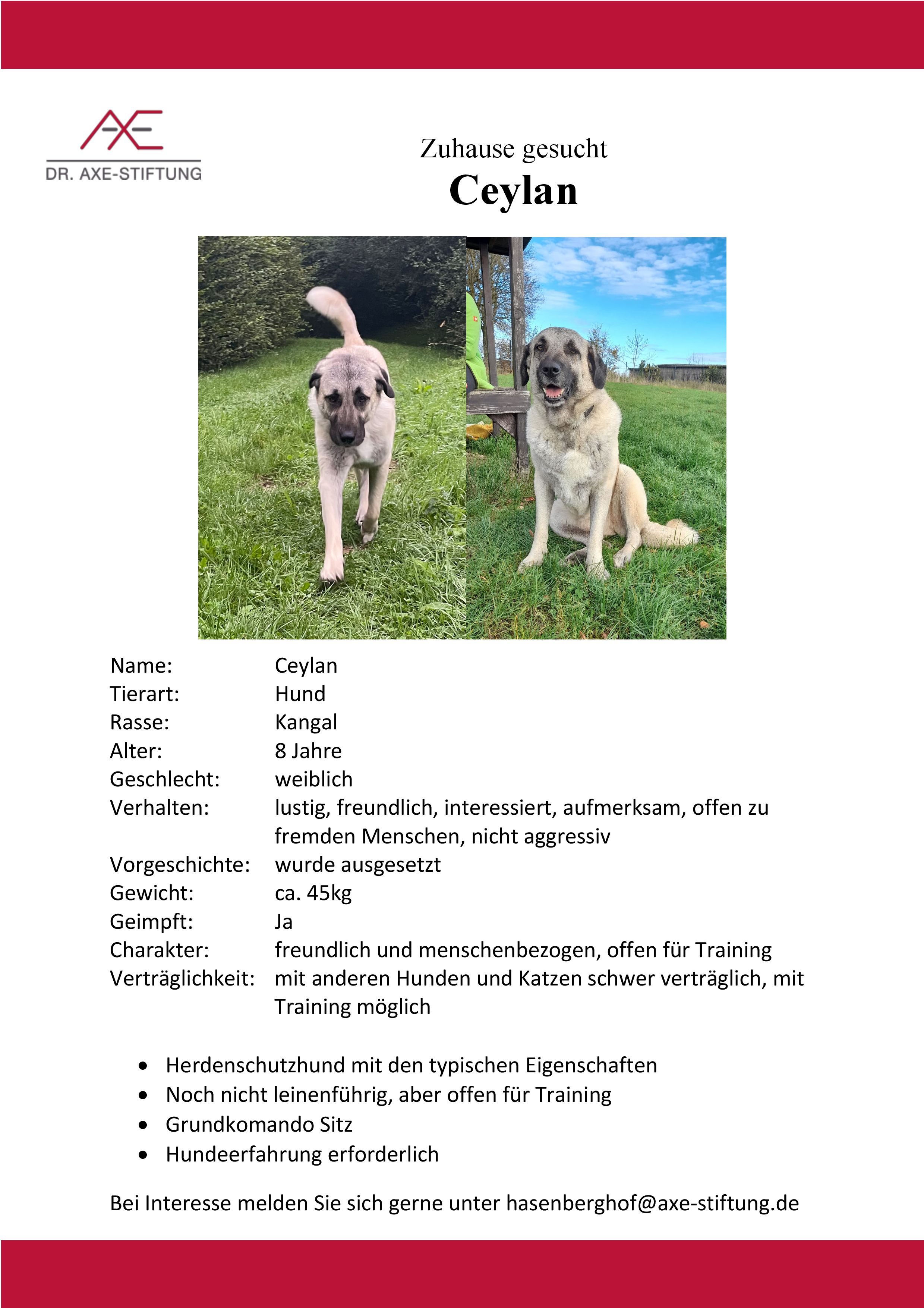 Ceylan